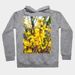 Spring - Sprig of Forsythia Hoodie